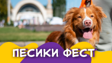 Песики Фест