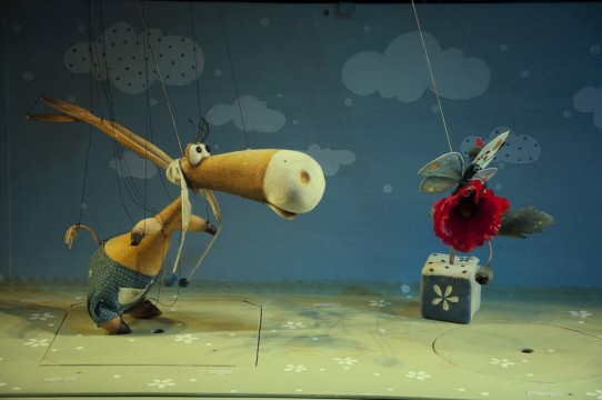 first-image-background