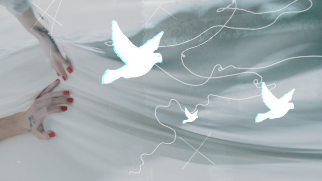 first-image-background