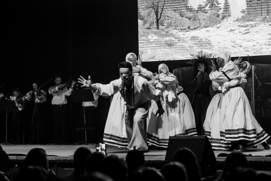 molfarka-odesa_939