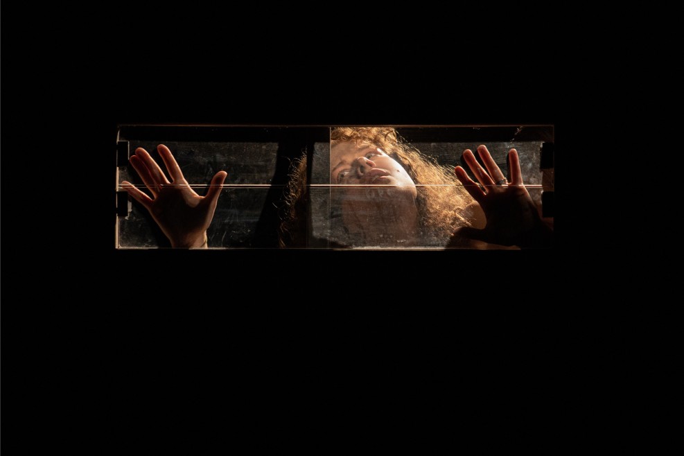 tramvai-bazhannja_315