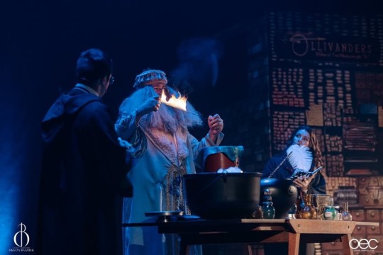 garri-potter-na-halloween_209