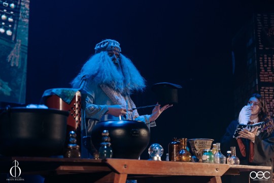 garri-potter-na-halloween_229
