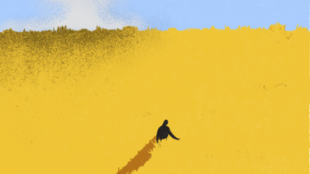 first-image-background