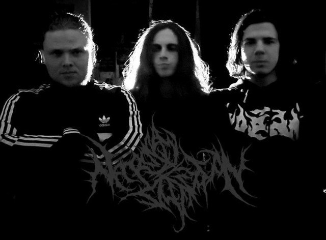 tsytska-x-necropsy-defecation-hmelnickii_557