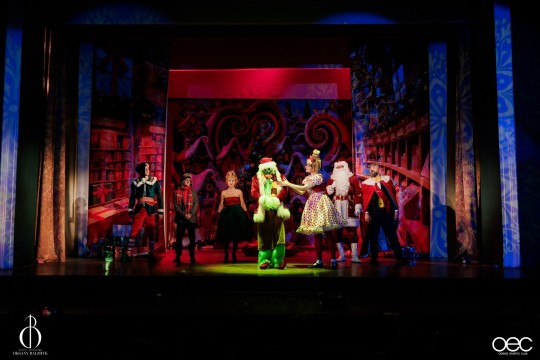 jak-grinch-vikrav-rizdvo-odesa_653