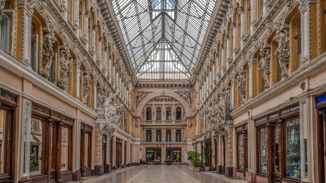 first-image-background