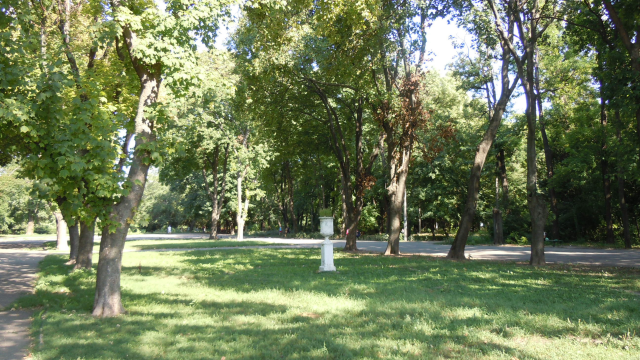 first-image-background