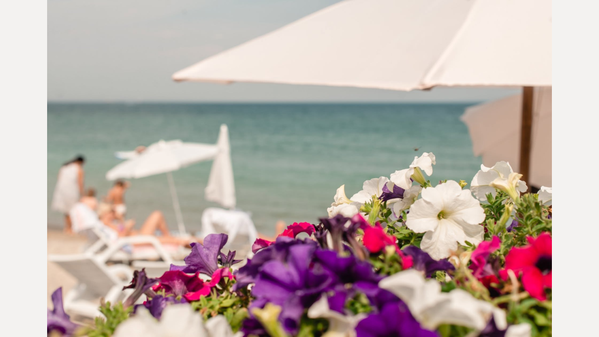 public-beach-club_360