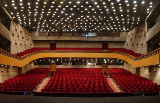 dramaticheskii-teatr-im-i-kochergi_700