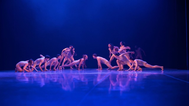 bolero-dosh-radu-poklitaru_488