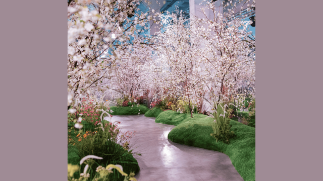 toi-den_425