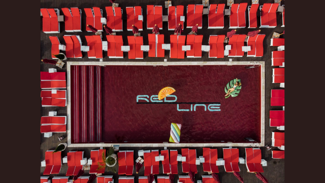 first-image-background