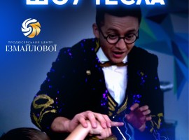 Шоу-програма для дітей "Шоу Тесла", +4,