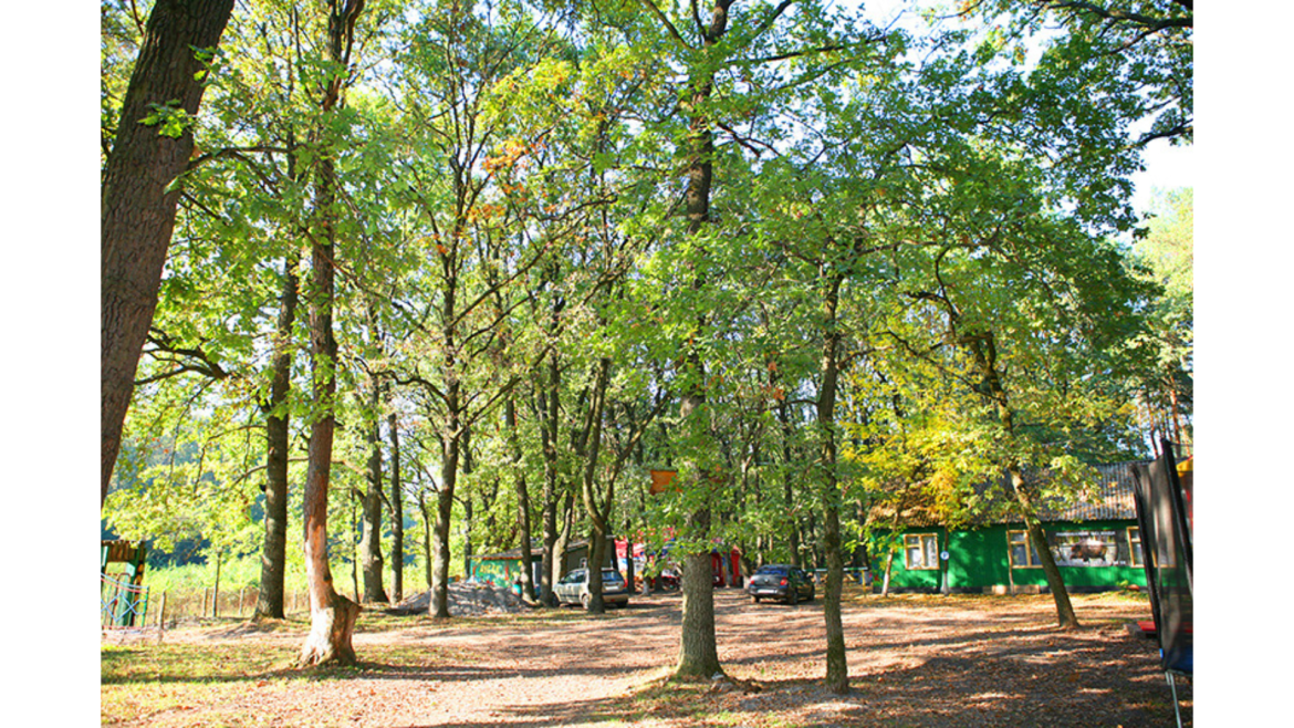 dubky-cherkasy_543