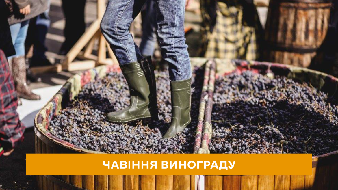 food-and-wine-festival_880