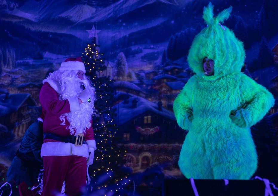 grinch-vikradach-rizdva_23