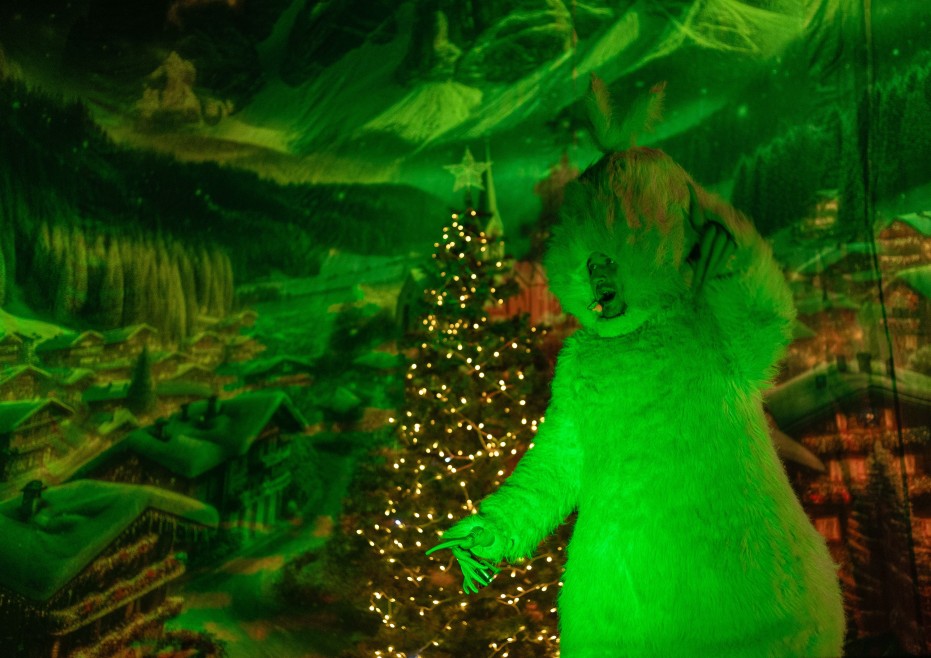 grinch-vikradach-rizdva_377