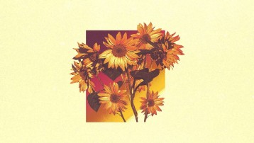 SILENT PLANET (USA) + TELEMA, NORA PLAN