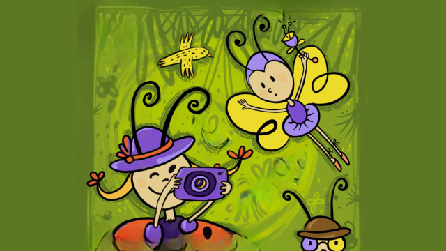 first-image-background