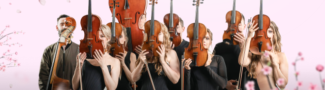 first-image-background