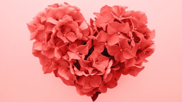 first-image-background