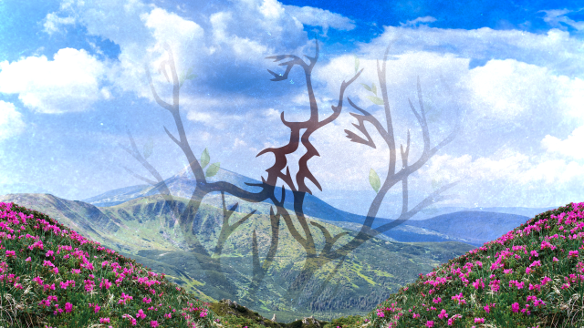 first-image-background