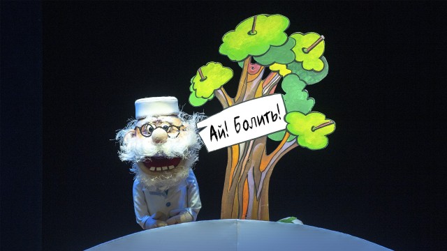 first-image-background