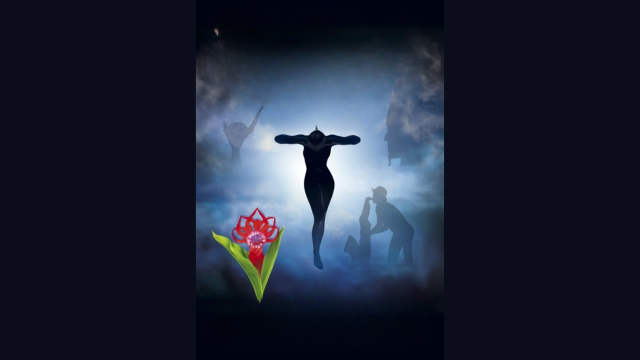 first-image-background