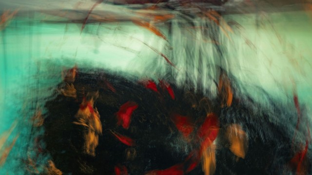 first-image-background