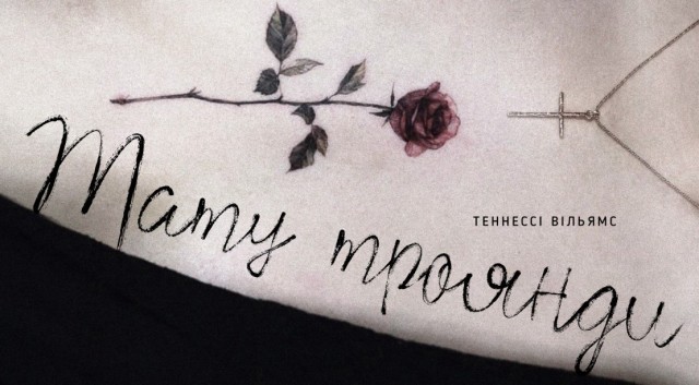 first-image-background