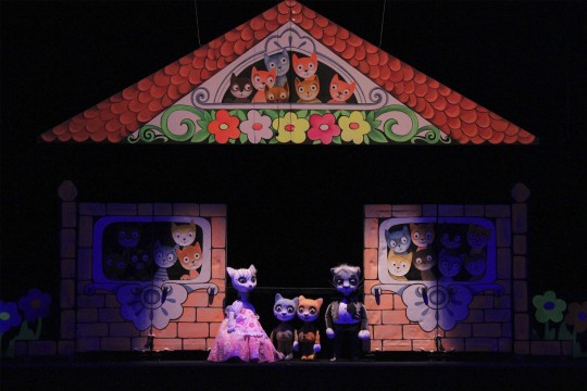 first-image-background