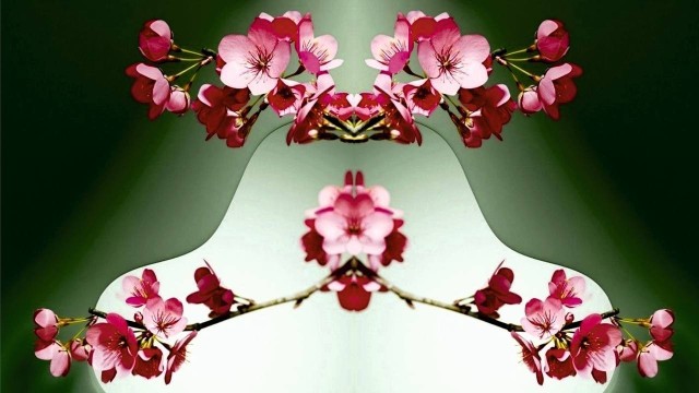 first-image-background