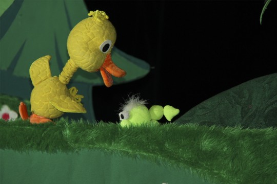 first-image-background
