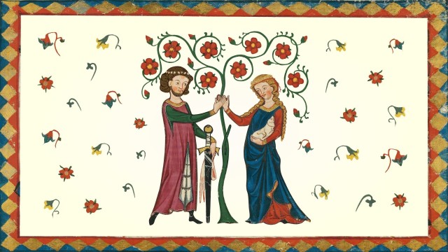 first-image-background