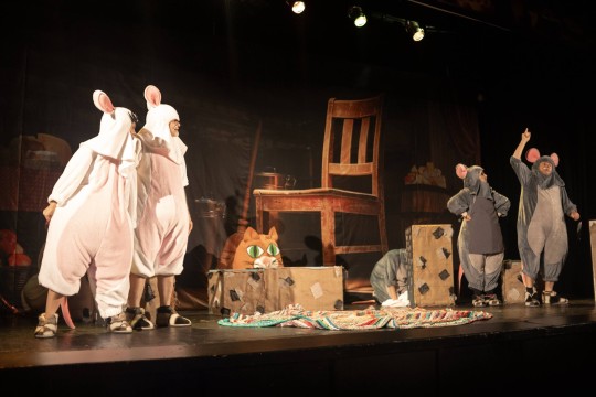 usi-mishi-lyubljat-sir-01_906