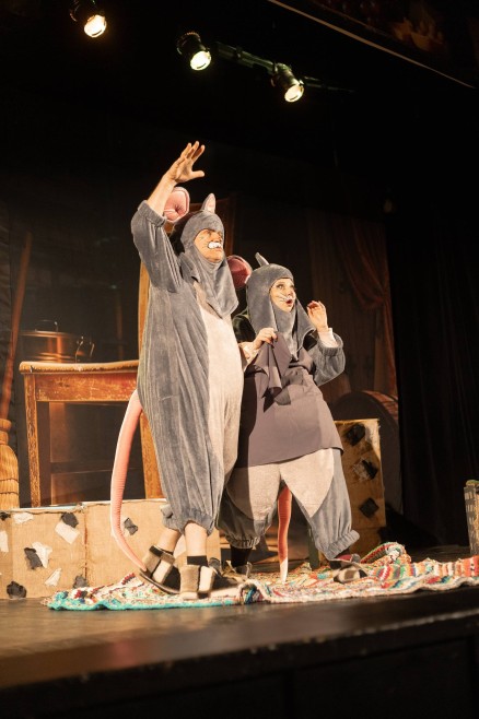 usi-mishi-lyubljat-sir-01_690