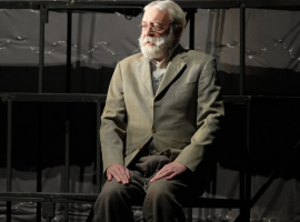 Володимир Задніпровський 