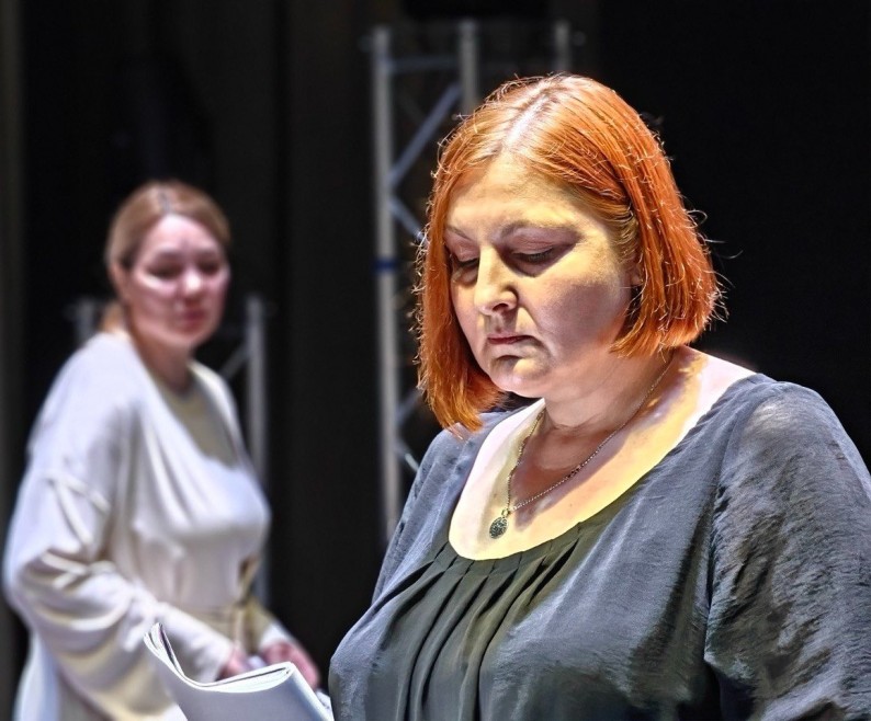 psihologichna-drama-pizni-gosti_231
